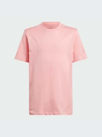 Футболки и поло Adidas Культовые силуэты модель IV7114-KZ Фото