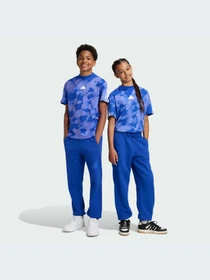 Брюки Adidas модель IX3629-KZ Фото