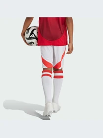 Шорты Adidas модель IT1975-KZ Фото