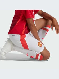 Шорты Adidas модель IT1975-KZ Фото