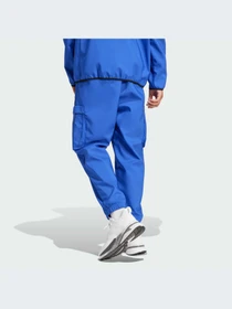 Брюки Adidas модель IV7418-KZ Фото