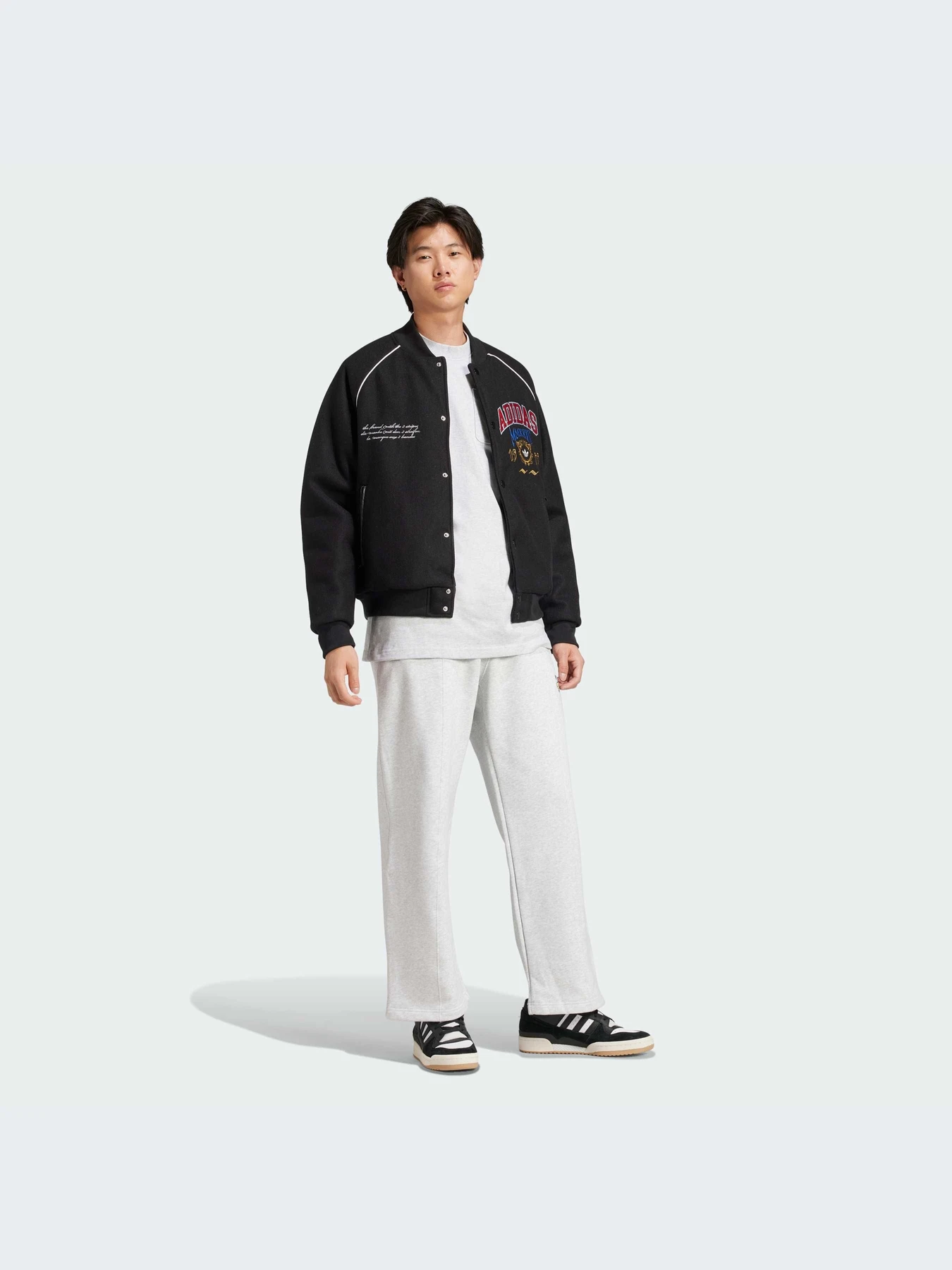 Куртки и дубленки Adidas Graphics модель IX6767-KZ Куртки и дубленки Adidas Graphics модель IX6767-KZ Фото