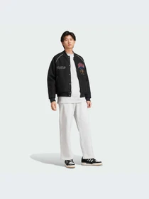 Куртки и дубленки Adidas Graphics модель IX6767-KZ Фото