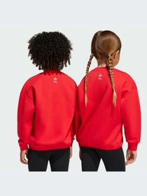 Худи и свитшоты Adidas модель JF3640-KZ Фото