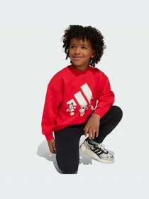 Худи и свитшоты Adidas модель JF3640-KZ Фото