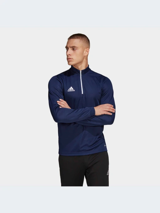 Худи и свитшоты Adidas модель HB5327-KZ Фото