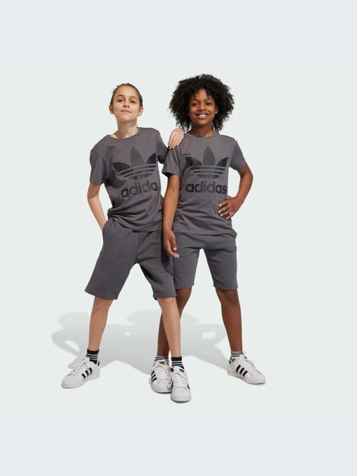 Шорты Adidas Adicolor модель IJ9731-KZ Фото