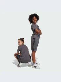 Шорты Adidas Adicolor модель IJ9731-KZ Фото