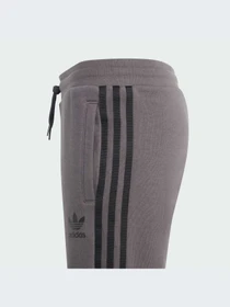 Шорты Adidas Adicolor модель IJ9731-KZ Фото