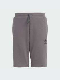 Шорты Adidas Adicolor модель IJ9731-KZ Фото
