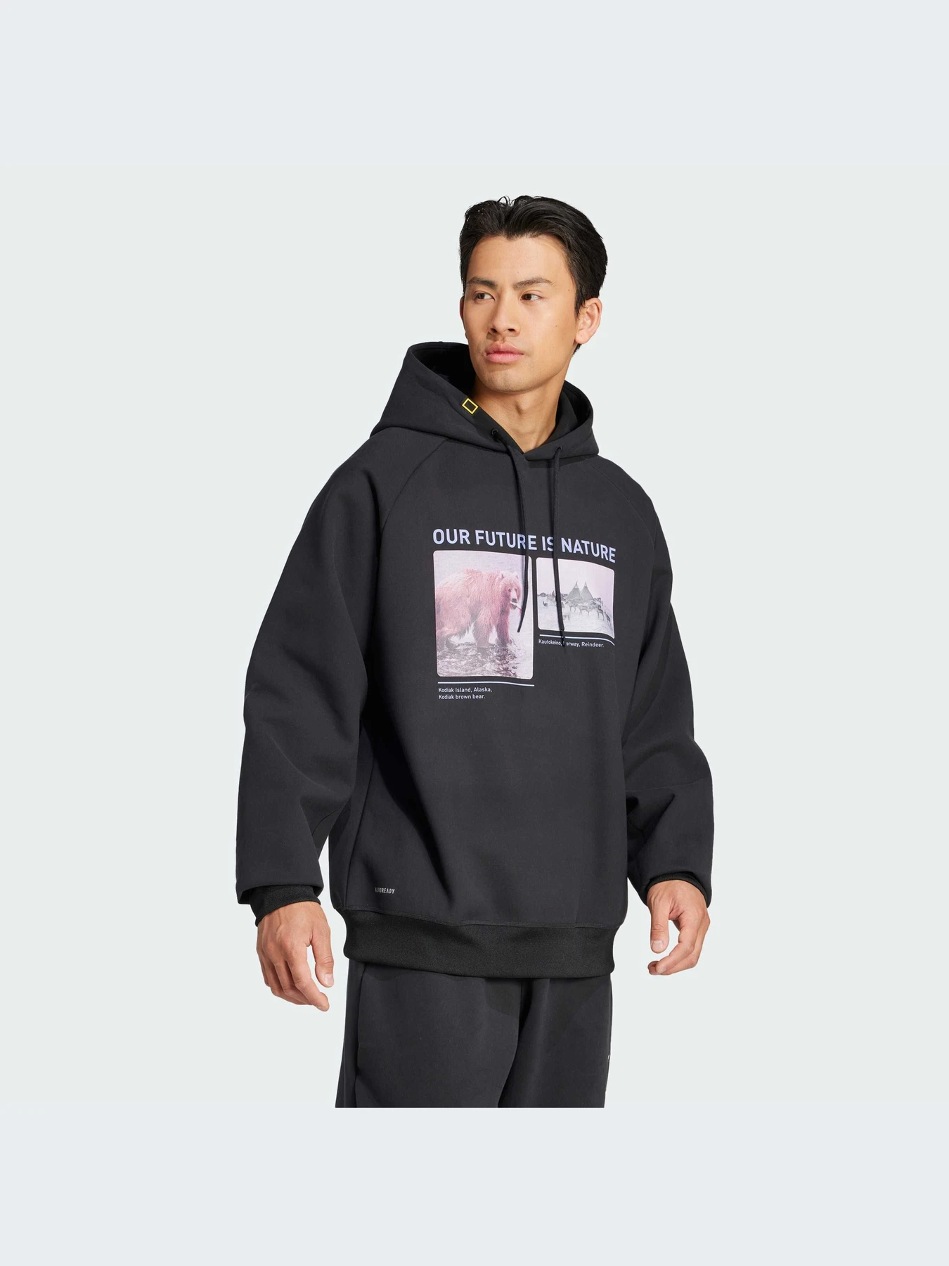 Худи и свитшоты Adidas модель JJ4358-KZ Худи и свитшоты Adidas модель JJ4358-KZ Фото