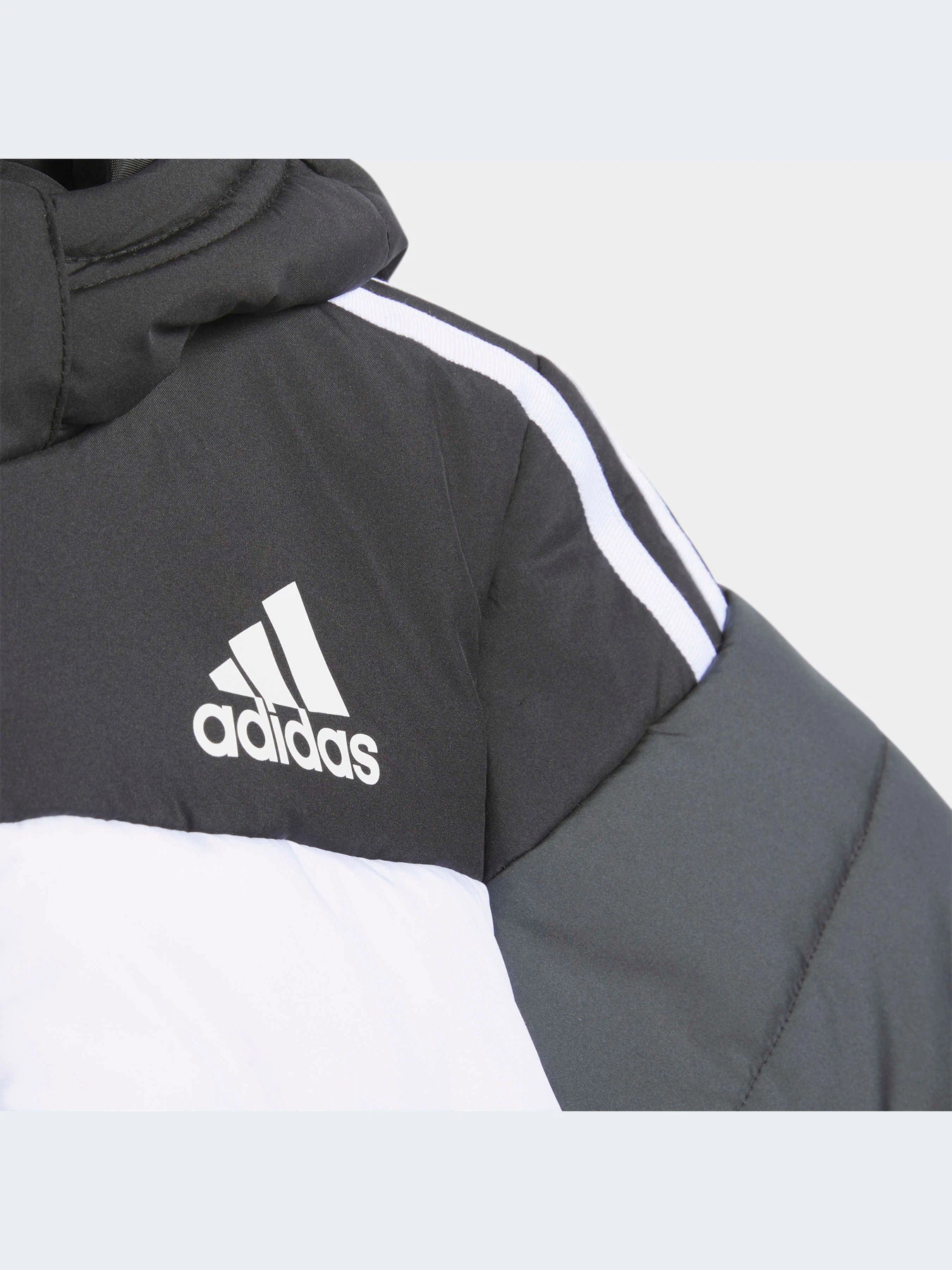 Куртки и дубленки Adidas Adidas Essentials модель IL6099-KZ Куртки и дубленки Adidas Adidas Essentials модель IL6099-KZ Фото