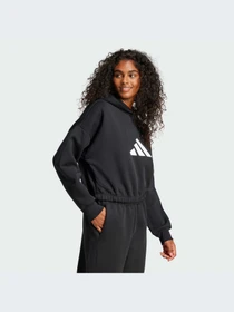 Худи и свитшоты Adidas Icons модель JE0136-KZ Фото