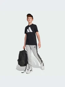 Брюки Adidas модель JE0304-KZ Фото