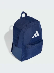 Рюкзаки Adidas модель IS7049-KZ Фото