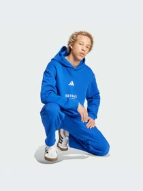 Худи и свитшоты Adidas модель JJ3667-KZ Фото