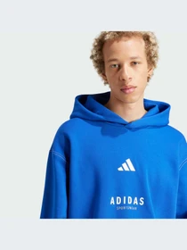 Худи и свитшоты Adidas модель JJ3667-KZ Фото