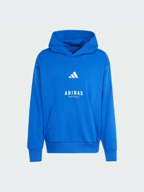 Худи и свитшоты Adidas модель JJ3667-KZ Фото