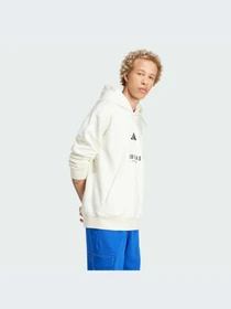 Худи и свитшоты Adidas модель JJ3668-KZ Фото