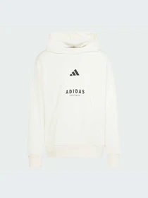 Худи и свитшоты Adidas модель JJ3668-KZ Фото