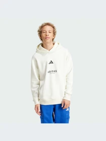 Худи и свитшоты Adidas модель JJ3668-KZ Фото
