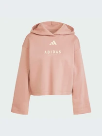 Худи и свитшоты Adidas модель JJ4518-KZ Фото