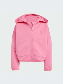 Худи и свитшоты Adidas модель JF3649-KZ Фото