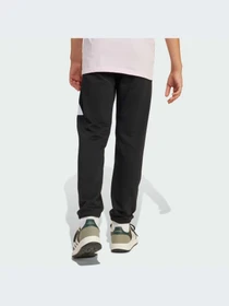 Брюки Adidas модель JD2090-KZ Фото