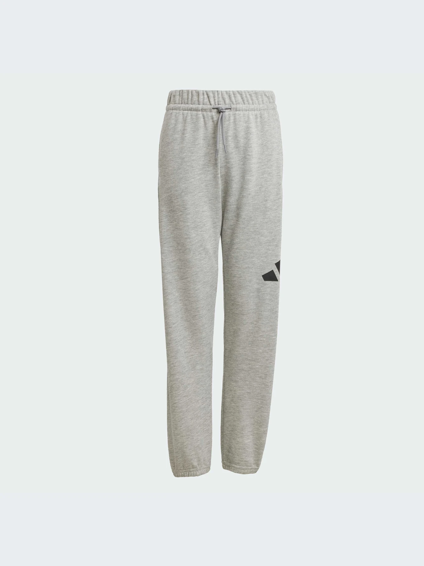 Брюки Adidas модель JD2092-KZ Брюки Adidas модель JD2092-KZ Фото