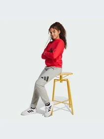Брюки Adidas модель JD2092-KZ Фото