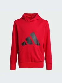 Худи и свитшоты Adidas модель JE1389-KZ Фото