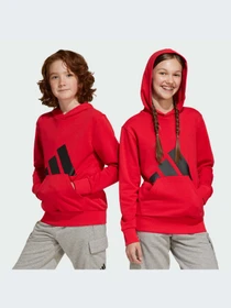 Худи и свитшоты Adidas модель JE1389-KZ Фото