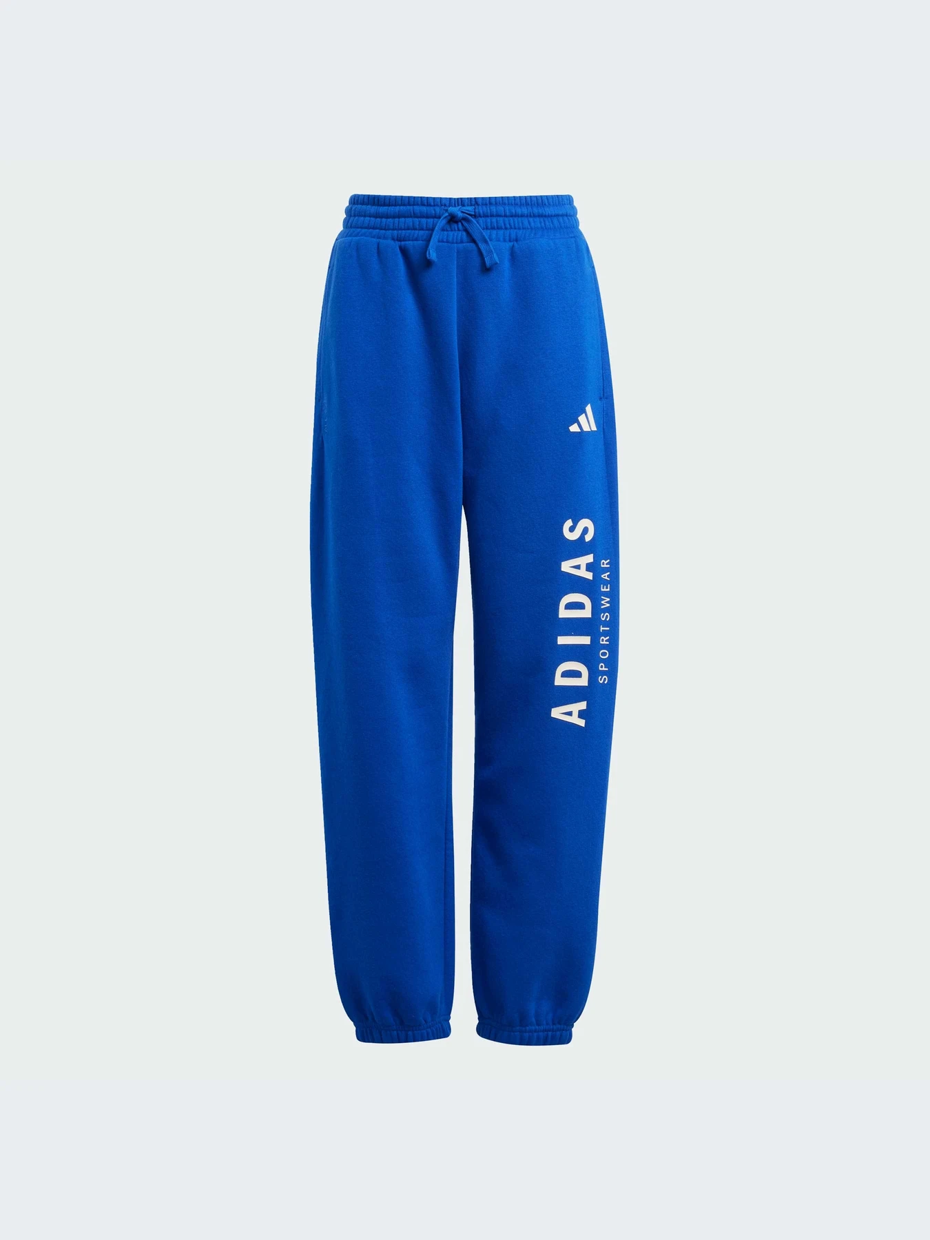 Брюки Adidas модель JC7613-KZ Брюки Adidas модель JC7613-KZ Фото
