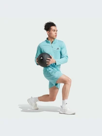 Шорты Adidas модель IW3409-KZ Фото