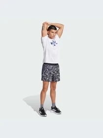 Шорты Adidas модель JD2336-KZ Фото