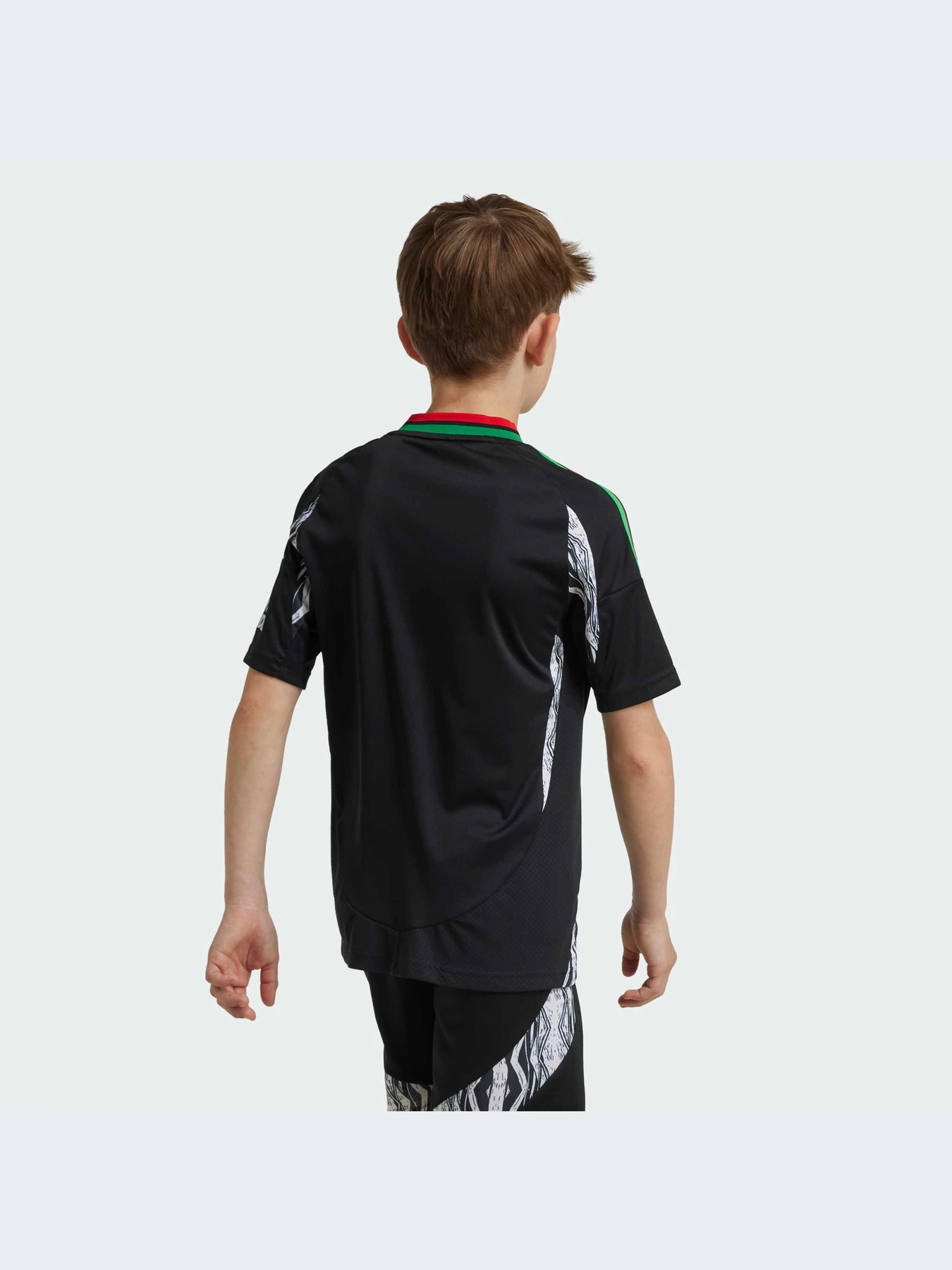 Футболки и поло Adidas модель IS8125-KZ Футболки и поло Adidas модель IS8125-KZ Фото