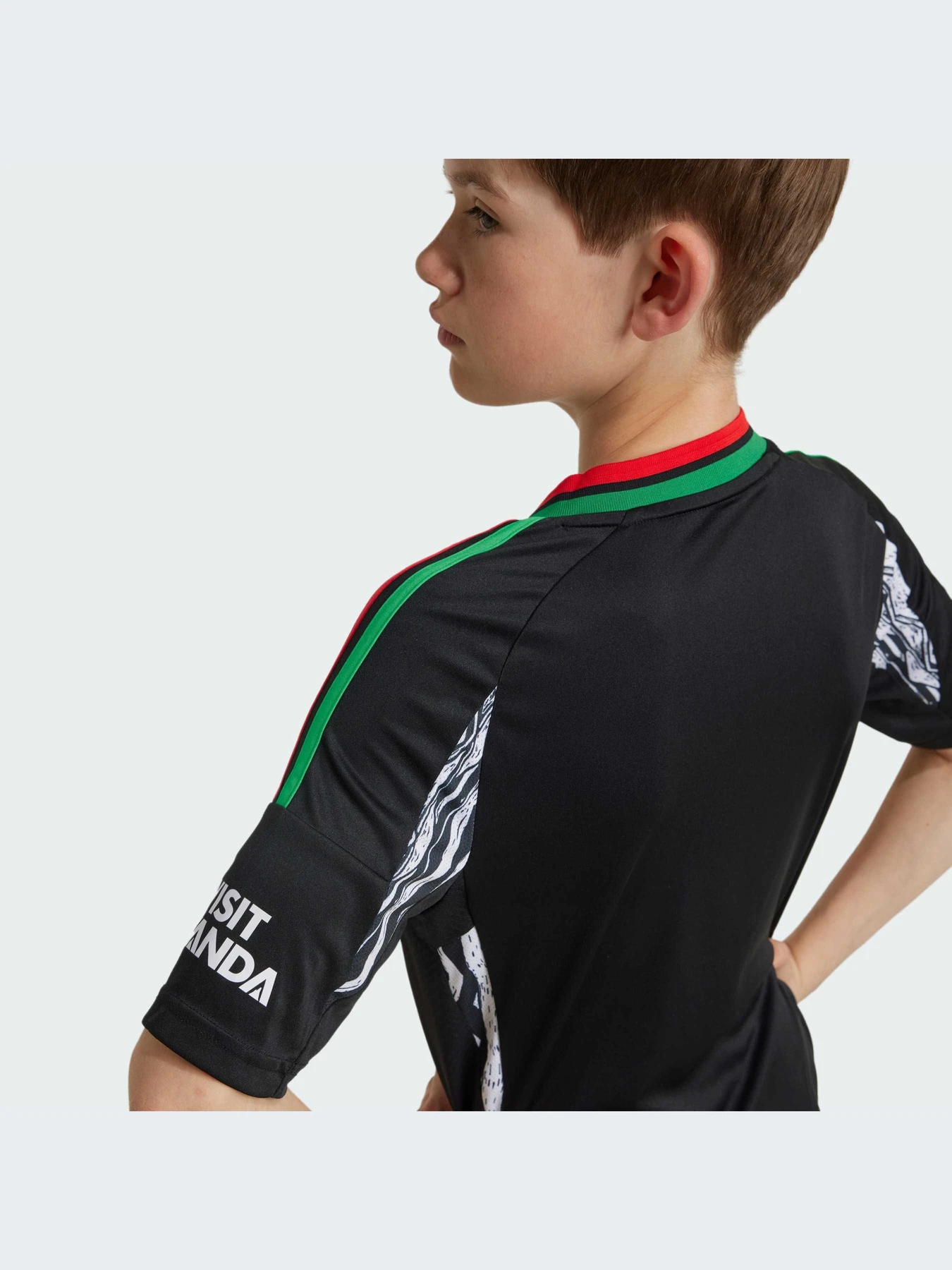 Футболки и поло Adidas модель IS8125-KZ Футболки и поло Adidas модель IS8125-KZ Фото