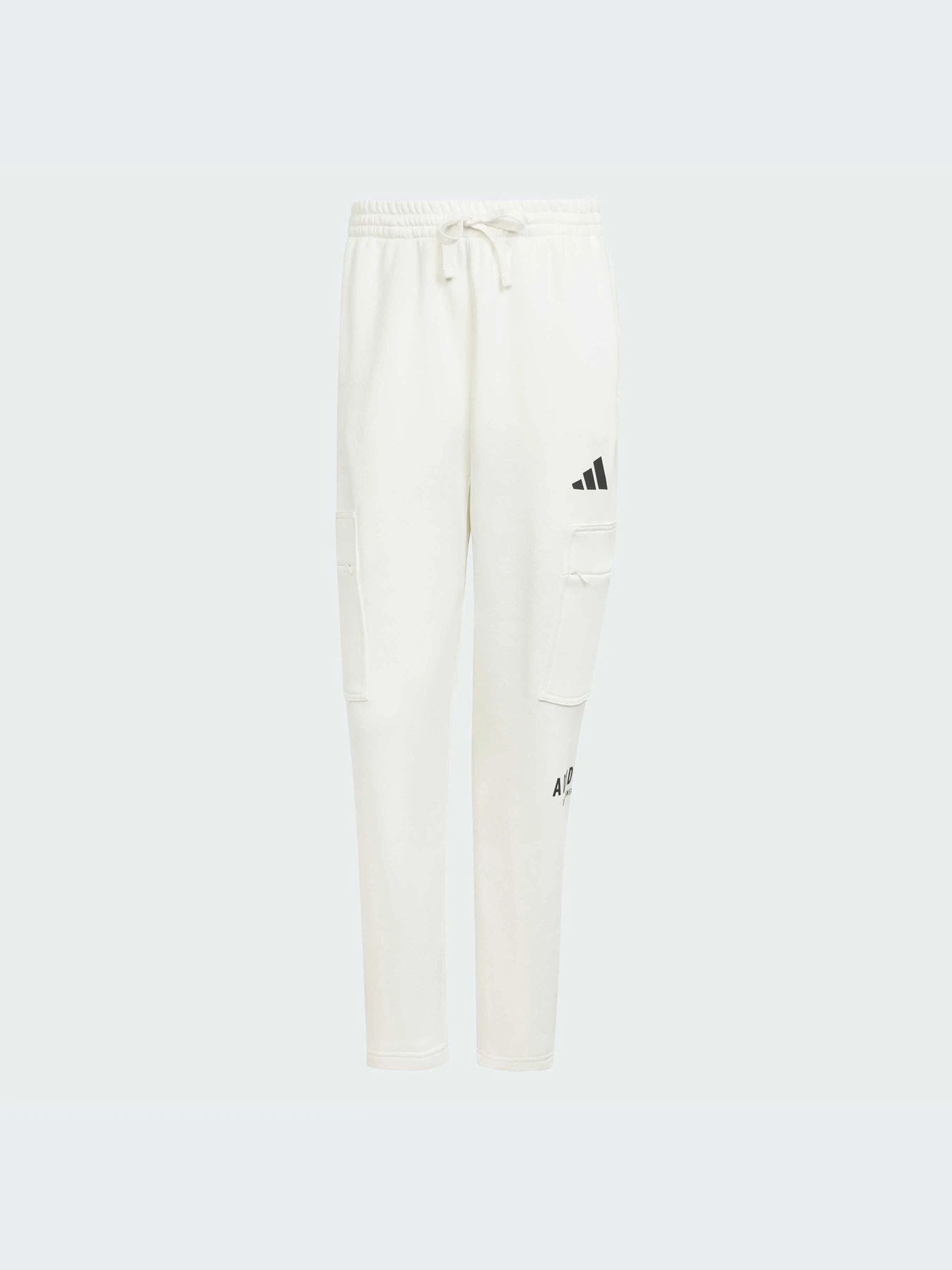 Брюки Adidas модель JJ3664-KZ Брюки Adidas модель JJ3664-KZ Фото