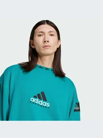 Худи и свитшоты Adidas модель JN7146-KZ Фото