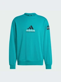 Худи и свитшоты Adidas модель JN7146-KZ Фото