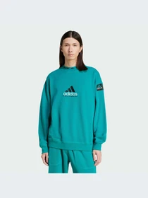 Худи и свитшоты Adidas модель JN7146-KZ Фото