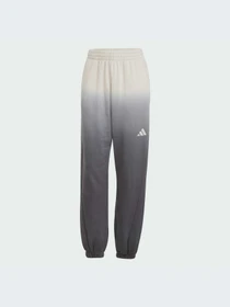 Брюки Adidas модель JJ4585-KZ Фото