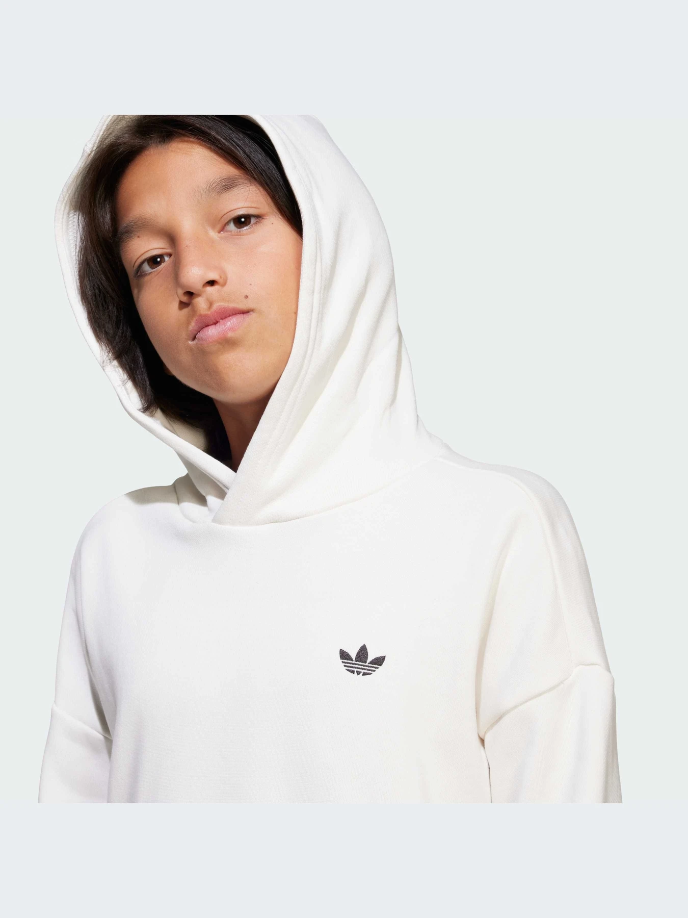 Худи и свитшоты Adidas модель JD3099-KZ Худи и свитшоты Adidas модель JD3099-KZ Фото