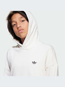 Худи и свитшоты Adidas модель JD3099-KZ Фото