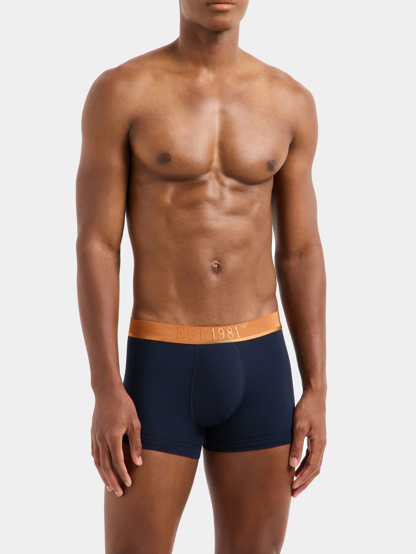 Нижнее белье Emporio Armani модель EM000259-AF10780-M0078 Нижнее белье Emporio Armani модель EM000259-AF10780-M0078 Фото