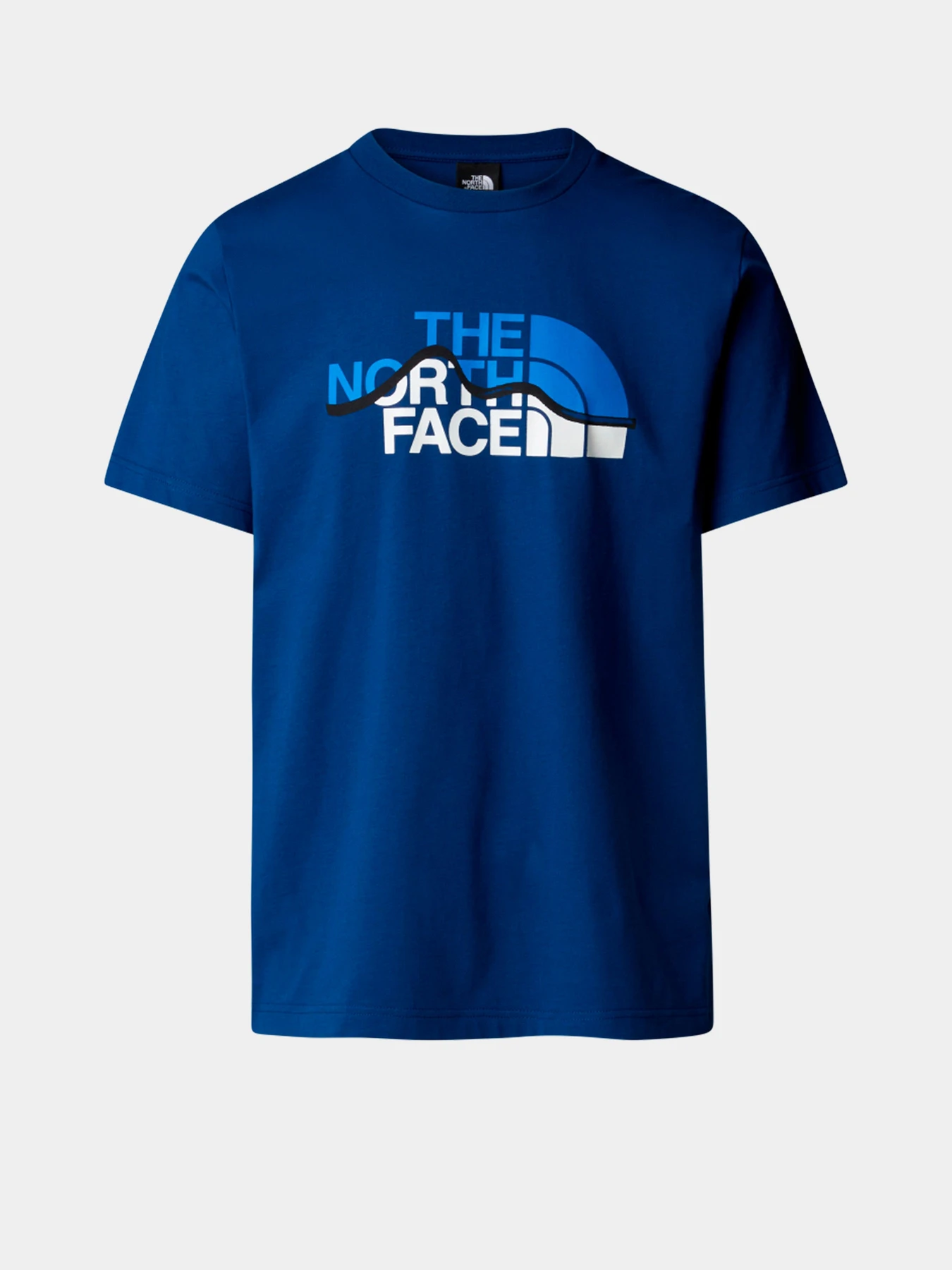 Футболки и поло The North Face модель NF0A87NTD1R1 Футболки и поло The North Face модель NF0A87NTD1R1 Фото