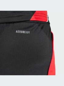 Шорты Adidas Tiro модель JP2492-KZ Фото