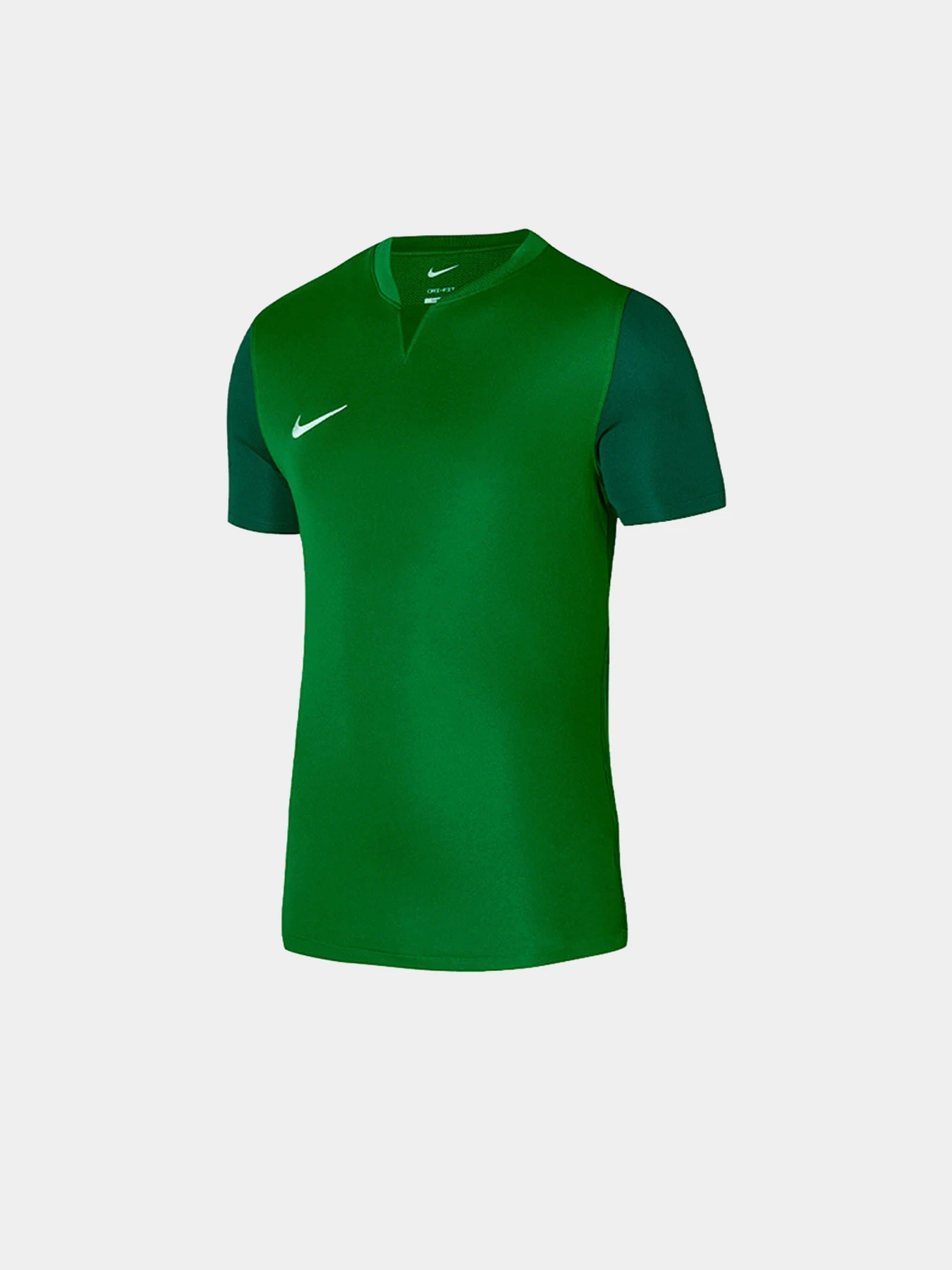 Футболки и поло NIKE модель DR0933-302 Футболки и поло NIKE модель DR0933-302 Фото