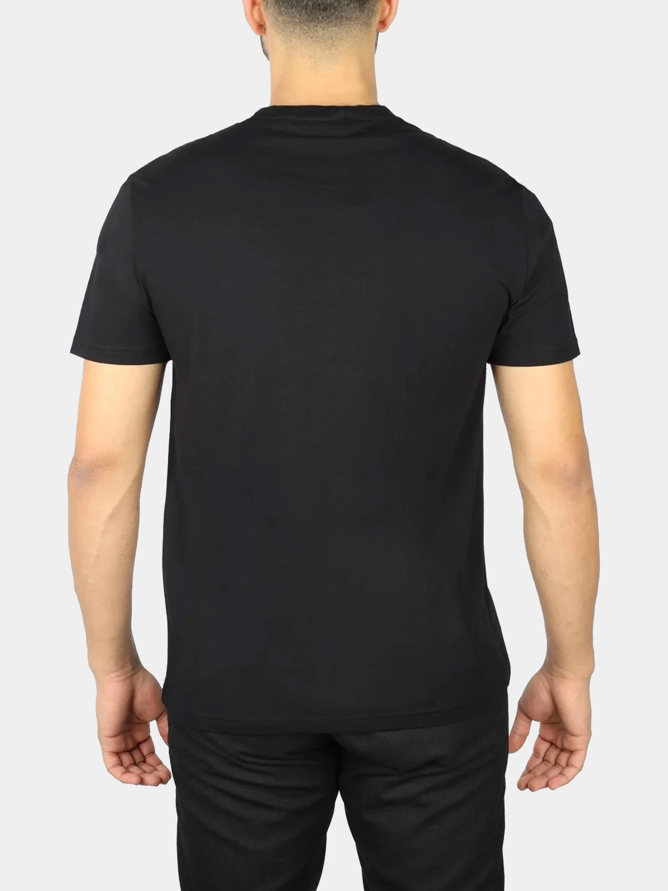 Футболки и поло Emporio Armani модель EM000574-AF12349-FC113 Футболки и поло Emporio Armani модель EM000574-AF12349-FC113 Фото