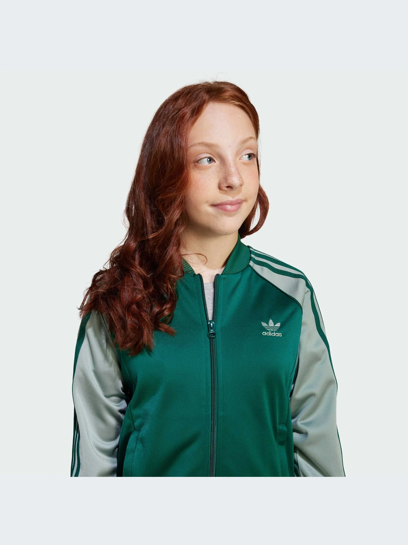 Худи и свитшоты Adidas Adicolor модель JD1611-KZ Худи и свитшоты Adidas Adicolor модель JD1611-KZ Фото